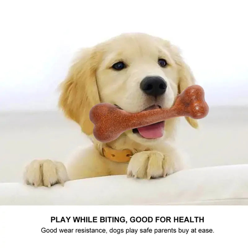 Durable Dogs Tough Bone Chew Toys